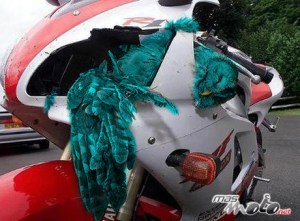 Nos llevamos Twitter a nuestras escapadas.PD: pobre buho y pobre R1 y de menuda se salvó el piloto. Y gracias mas moto.net por no seguirnos en twitter. Os seguiremos, siemrpre.