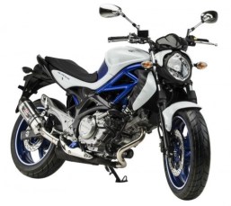 suzuki-gladius-650-sport_01-500x447