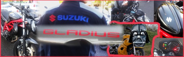 Portada SFV650 Gladius