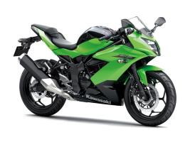 51753-kawasaki-ninja-250sl-2015 (3)