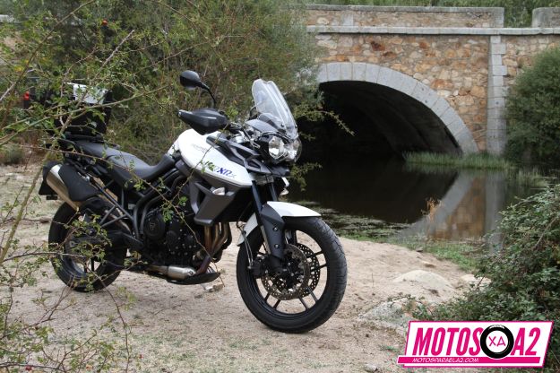 General de moto Triumph Tiger 800 y puente_result