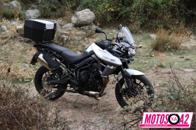 General en campo verde_result