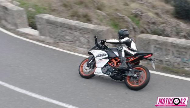 Calavera en la deslizadera_result